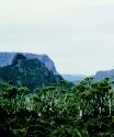 AUSTRALIA’S NATIVE VEGETATION