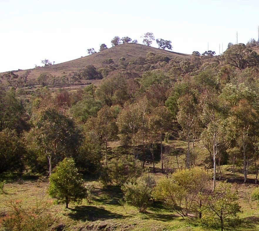 Final Report for Land and Water Australia Managing Climate Variability Program